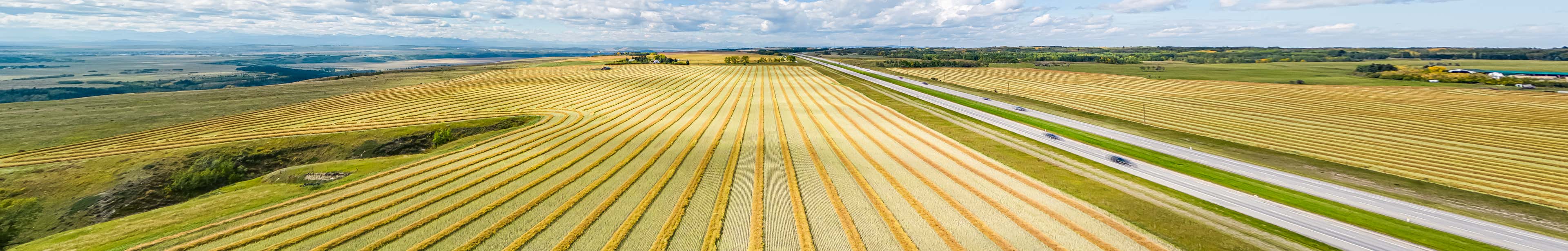 Agricultural crop waste used to make industry specification pulp