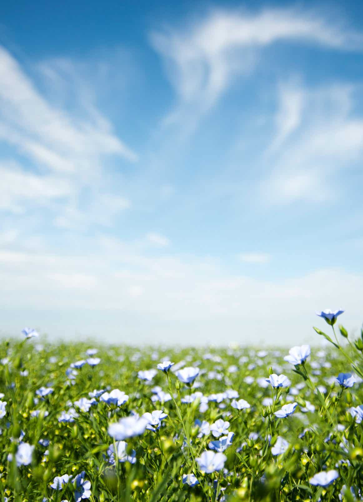 Photographer at Work with Camera on Tripod
