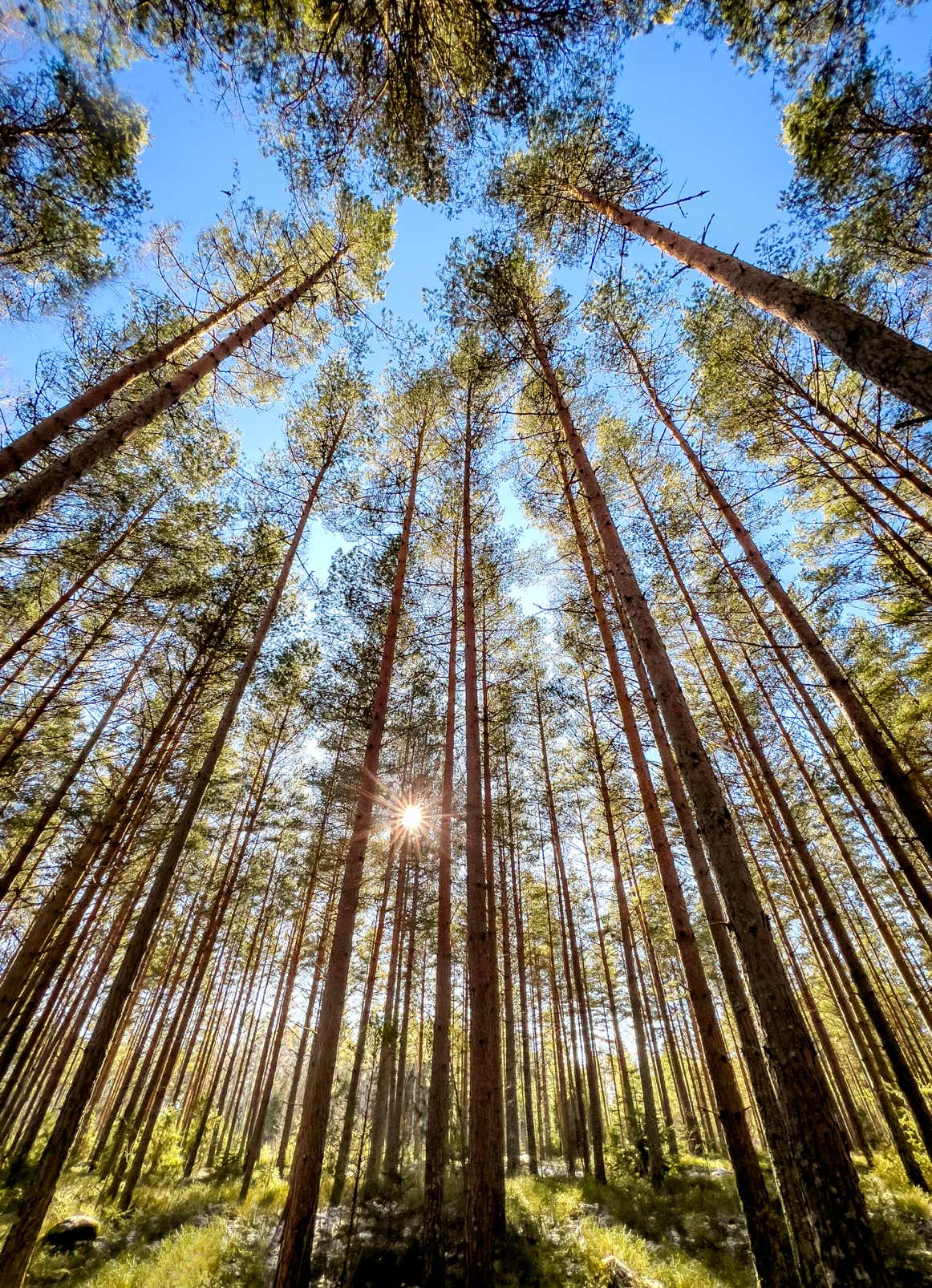 Full body focused hardworking Asian female farmworkers in dirty uniforms sorting collected cotton and sitting on ground in countryside