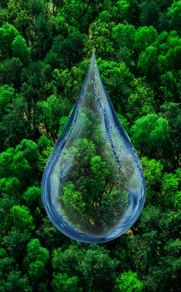 Paper Cutouts on a Gray Surface